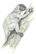 Avatar de Usuario