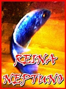 Avatar de Usuario