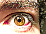 Avatar de Usuario