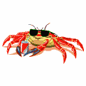Avatar de Usuario