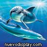 Avatar de Usuario