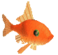 Avatar de Usuario