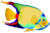 Avatar de Usuario