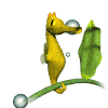 Avatar de Usuario