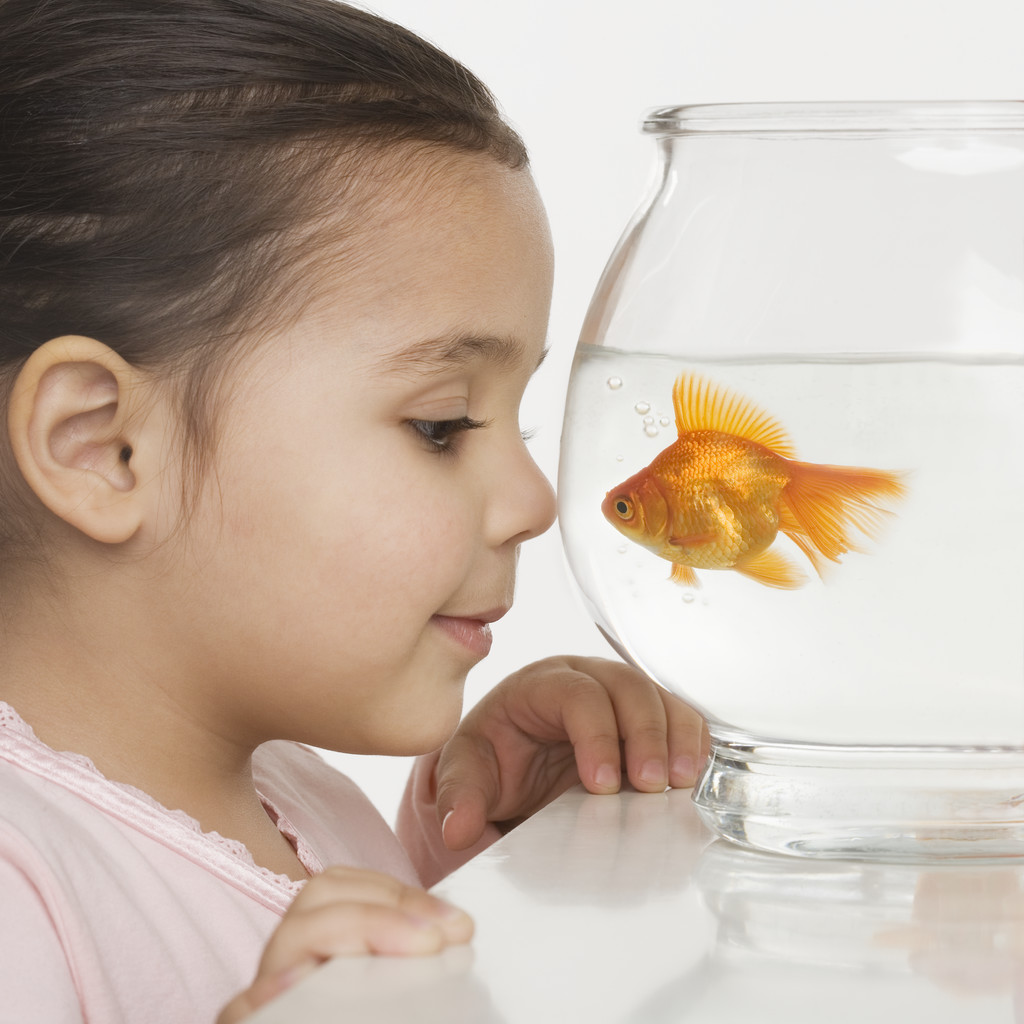 Young girl watching a fishbowl